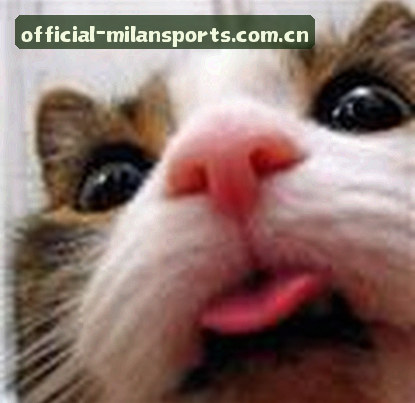 吴强